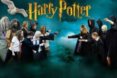 Harry-Potter-extra-edit-Copy-scaled